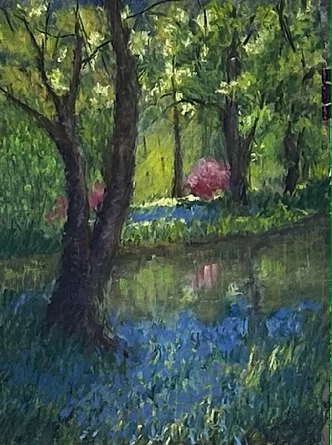 Bluebells on Campus
Pastels