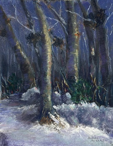 "Frozen Journey"
Pastel 11x14
My reference