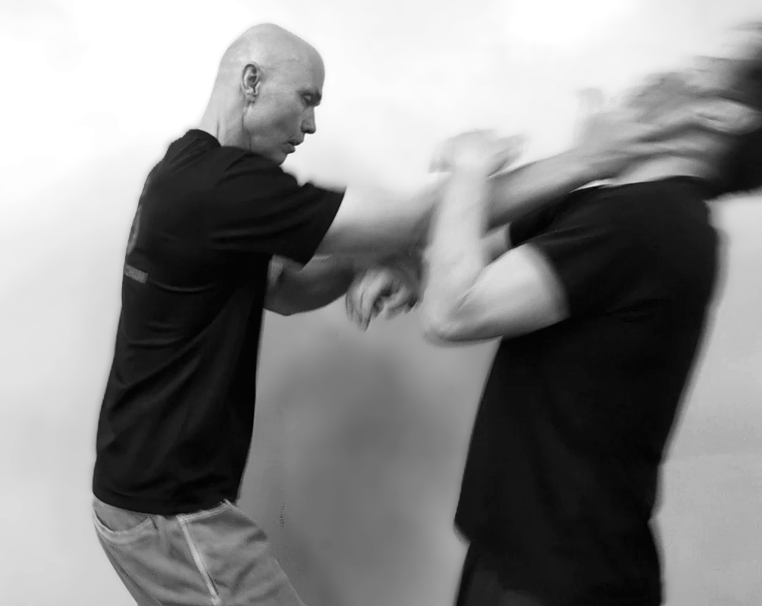 詠春拳の一撃必殺：間合いを詰め、瞬時に仕留める法　Closing safely in on the opponent - using Wing Chun Chisao