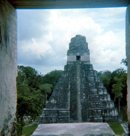 Image description