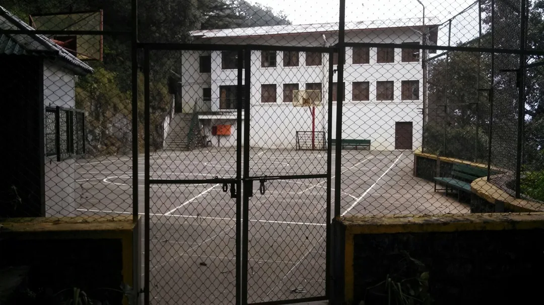 Picture