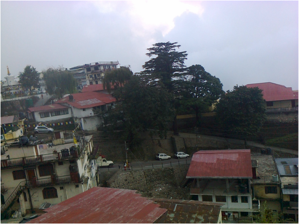 Picture