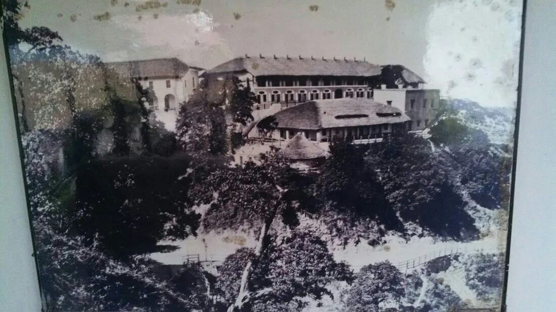 Picture