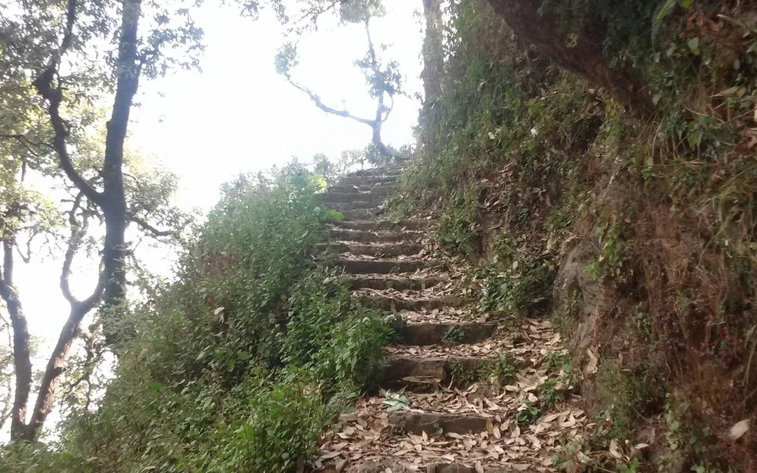 Picture