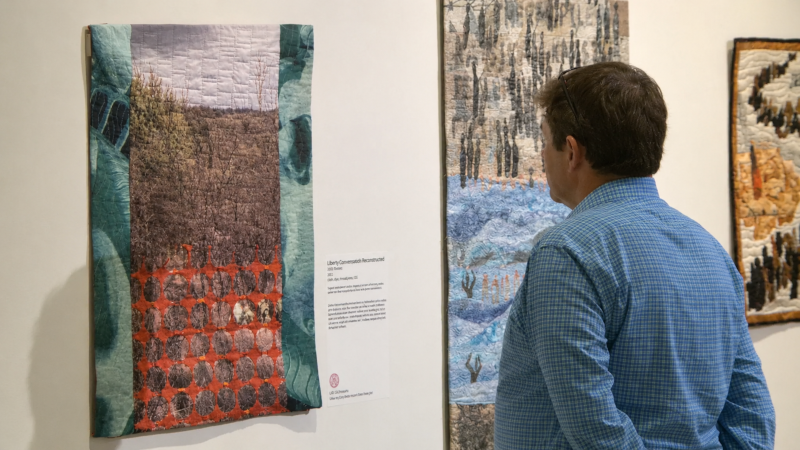 The Licky Ones? art quilt on exhibit at the Ruth Funk Centre for Textile Arts