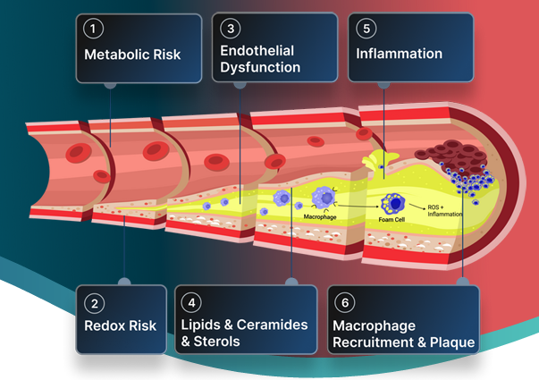 Cardiovascular Transformation Program at Functional Medicine Plus Toledo OH