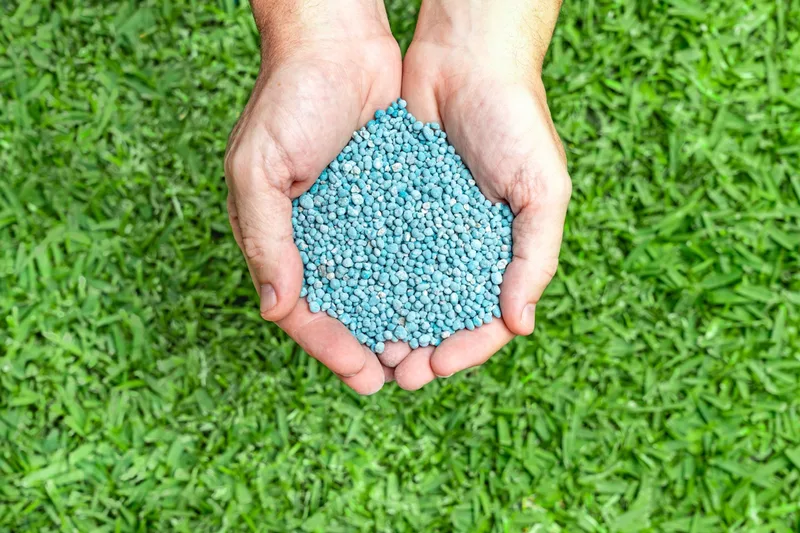 Lawn Fertilizer & Weed Treatments