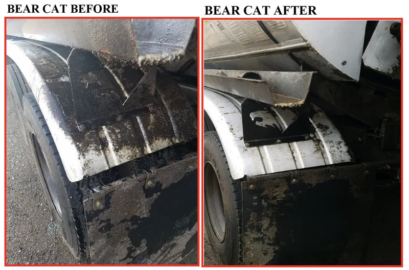 Before and after bear cat
