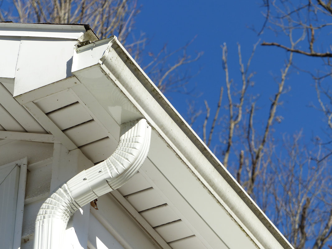 How to Clean Out Your Gutters and Why It’s Essential