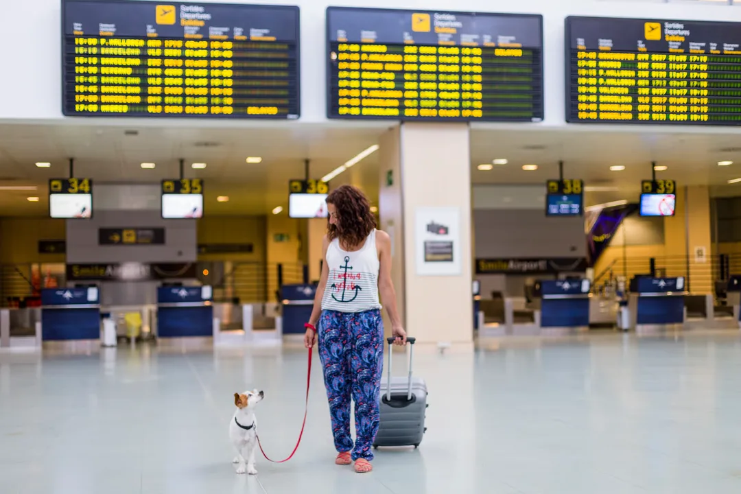 Home to airport pet transport with white glove service