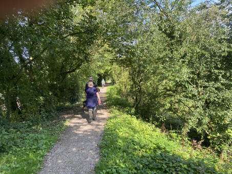 improved wetland walk