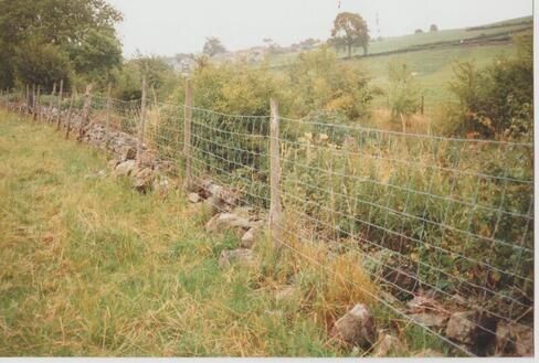 Canal Boundary Wall before