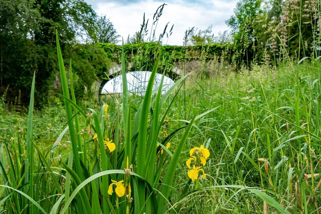 improved wetland 