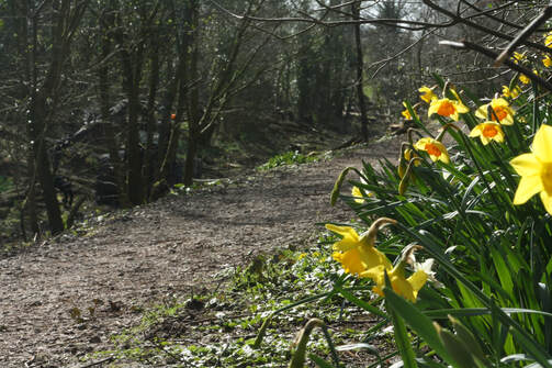 spring at Sedgwick Canal Wildlife Area