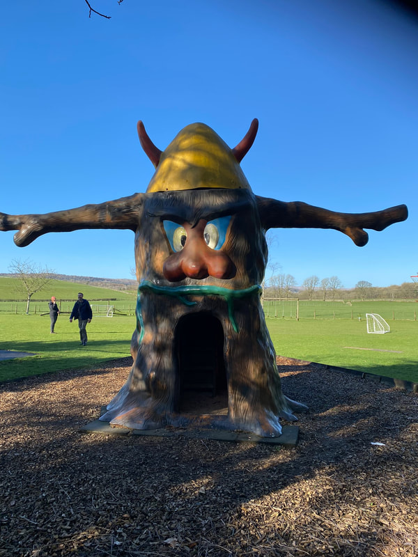 The Millennium Playing Field, Playground tree man slide front
