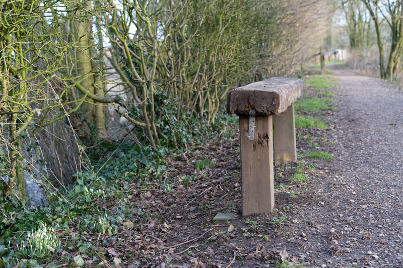 a bench at Sedgwick Canal Wildlife Area
