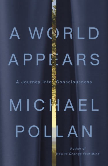 A Journey into Consciousness