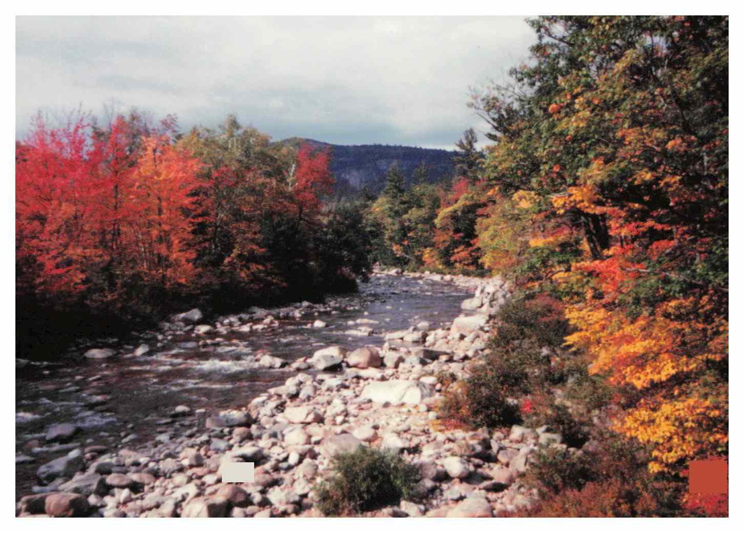 4 things we love about New England