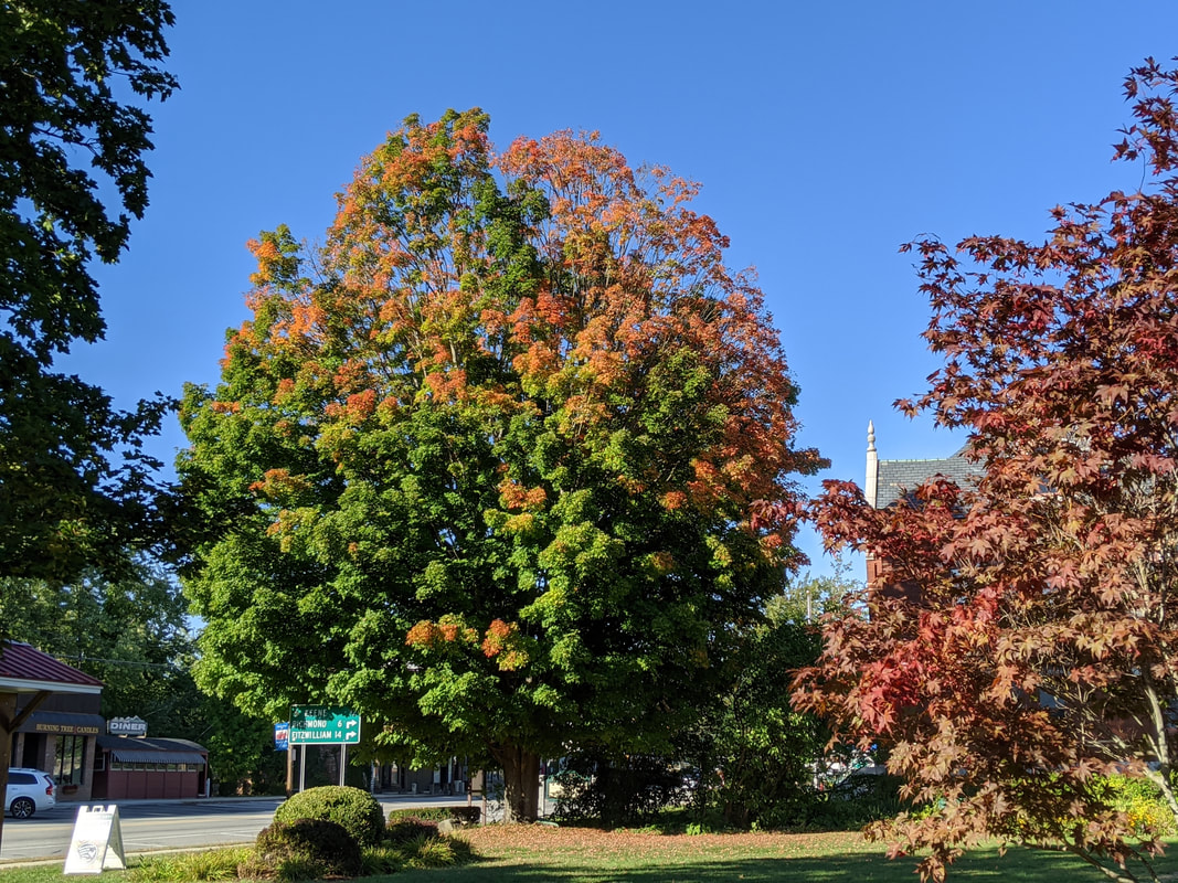 Changing Seasons