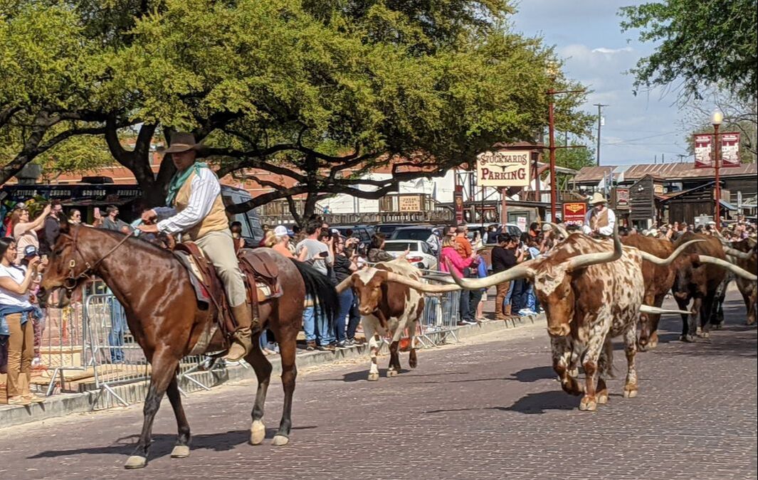 An Authentic Texas Experience