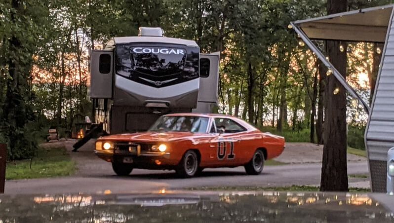 Rare Sightings While Full-Time RVing
