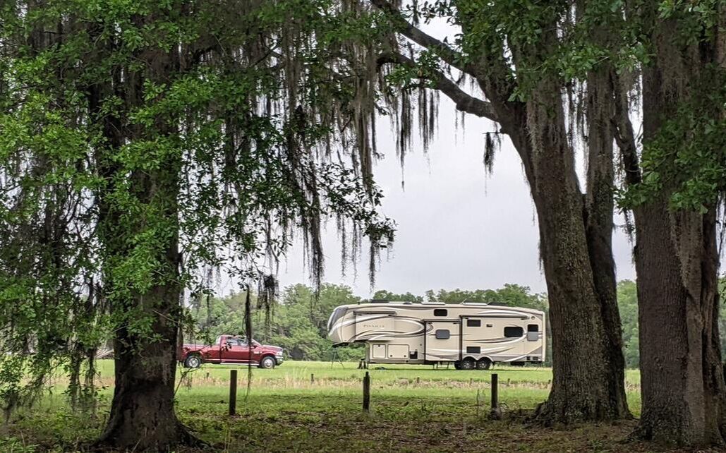 Peculiar Happenings in the South