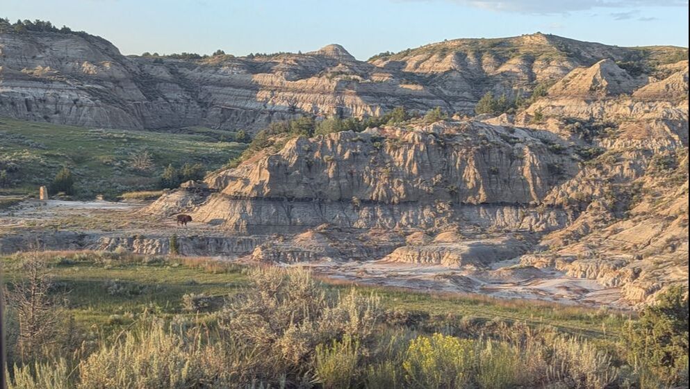 4 things to see at Theodore Roosevelt National Park