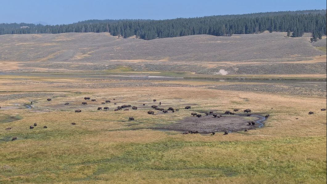 Is Yellowstone worth visiting?