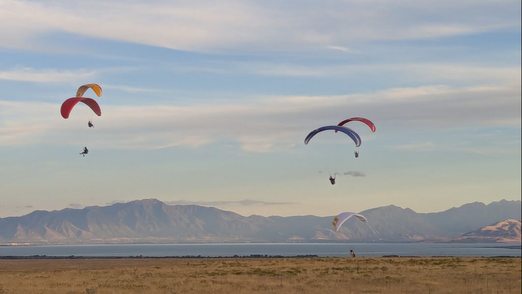 Picture