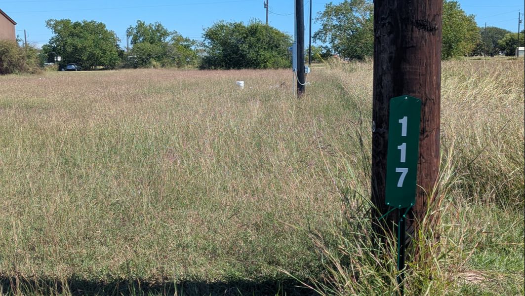 Finding surprises on the first visit to our property