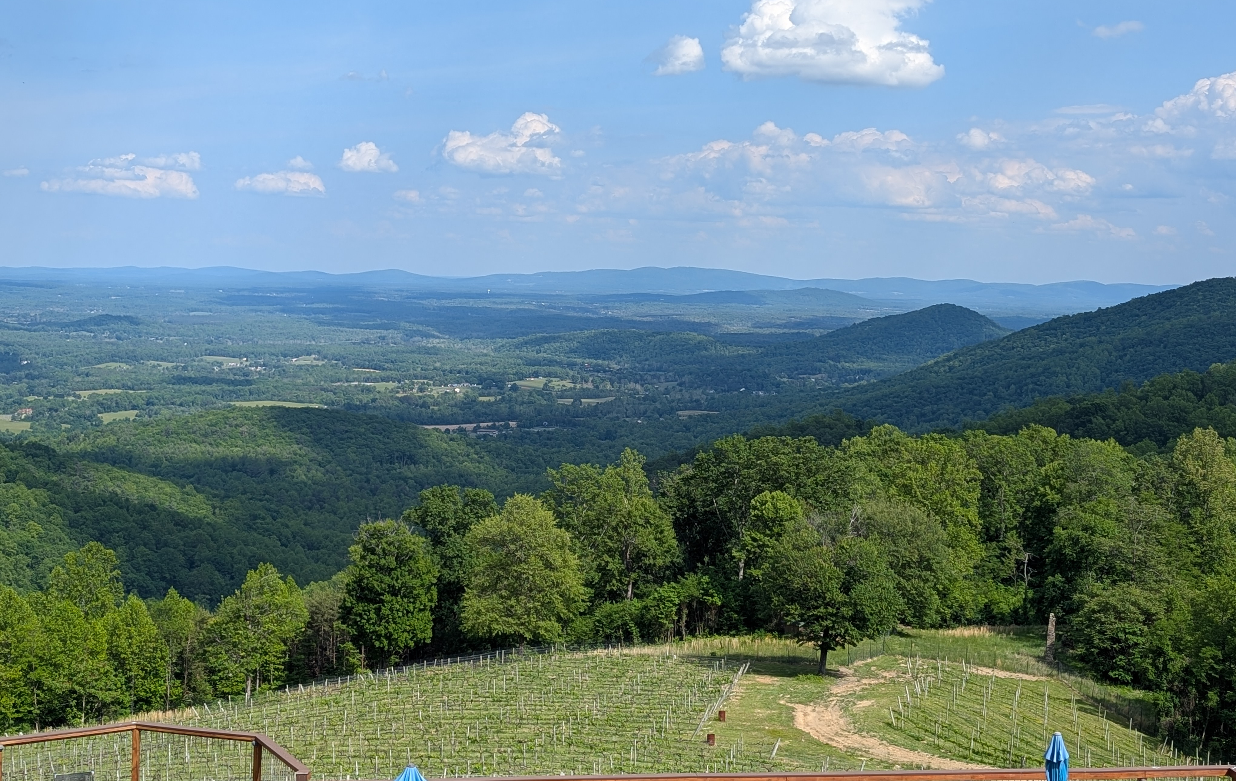 7 fun activities in Virginia