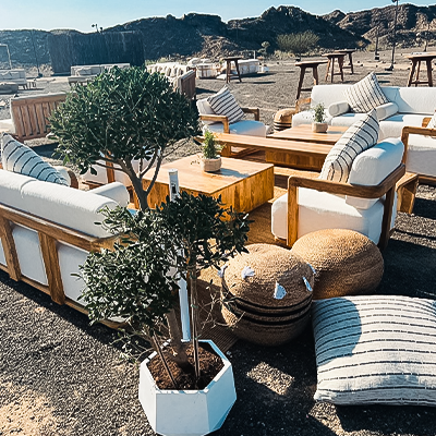 desert-lounge-seating-with-olive-trees