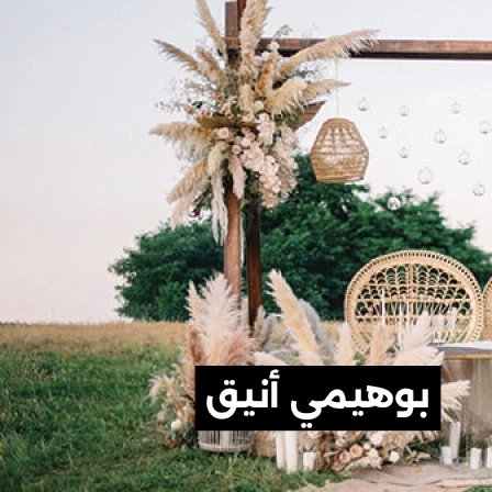 بوهيمي أنيق