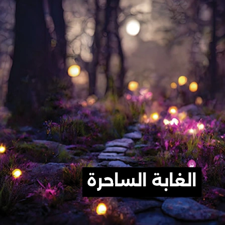 الغابة الساحرة