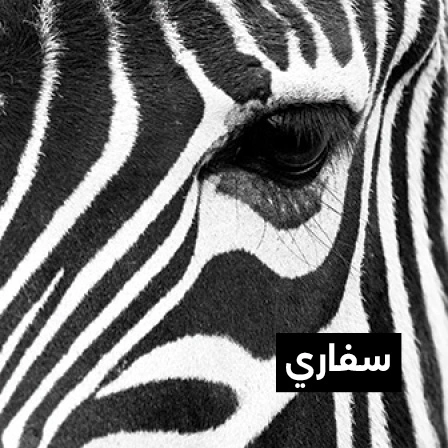 ديكورات السفاري