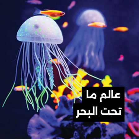 ديكورات عالم ما تحت البحر