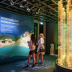Montenegro Pavilion National Day – Bespoke Scenic Exhibit & Lighting Integration, Dubai (2021)