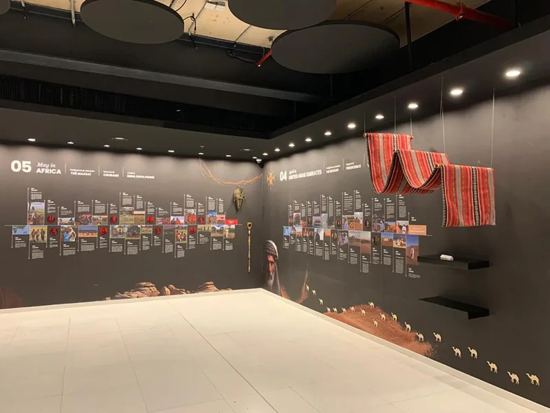 Black scenic display bases coordinated with glazed artefact cases and focused lighting.