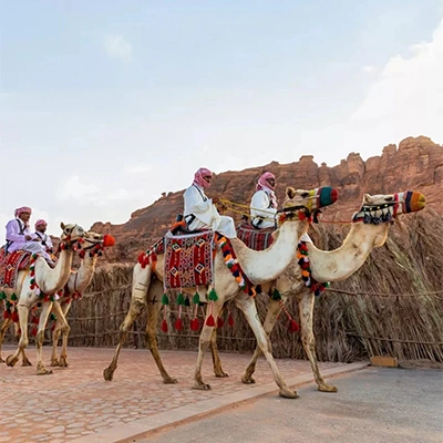 موكب-هجن-مزينة