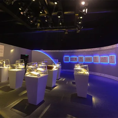 scenic-museum-exhibition-display