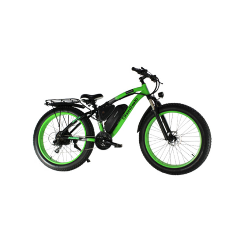 Electric Bike (SS-VBKBIK-T01)