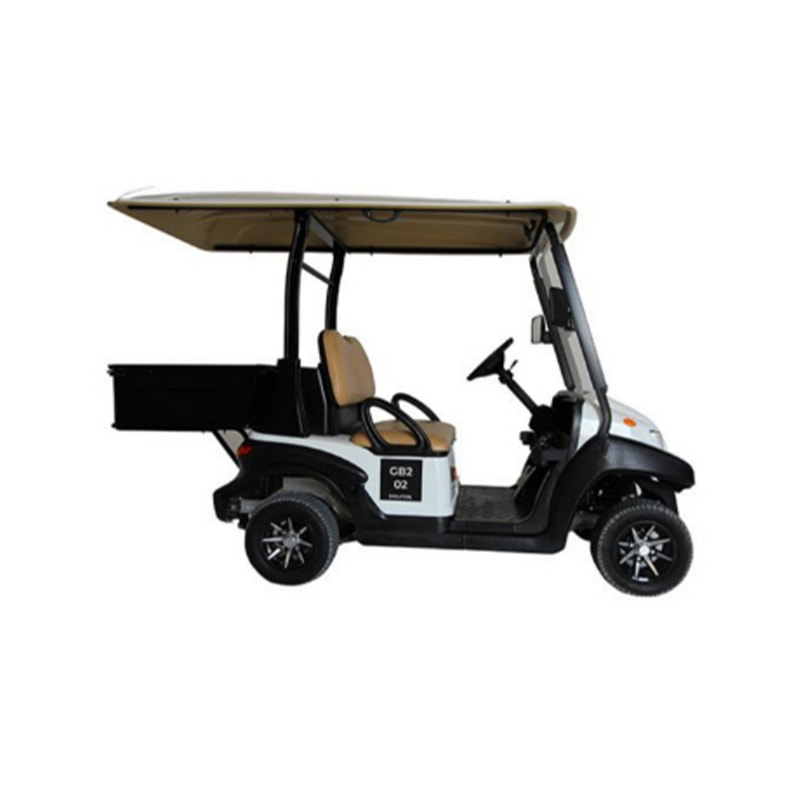 2 Seater Electric Buggy with Cargo (SS-VGC2SC-T01)