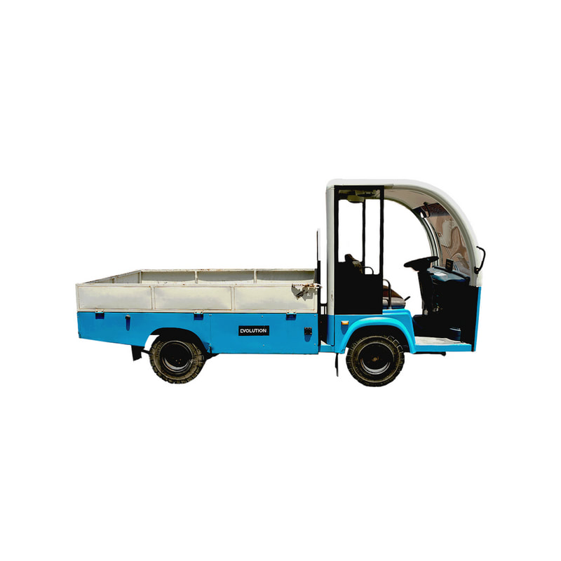 SS-SV-EB-L2S-T02 2+2 Seater Lifted Electric Buggy 