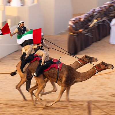 emirati-camel-racing-uae-flag-performance