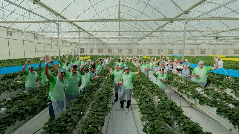 FoodTech Challenge participants visiting a sustainable farming greenhouse with crops, technical demonstrations and group engagement