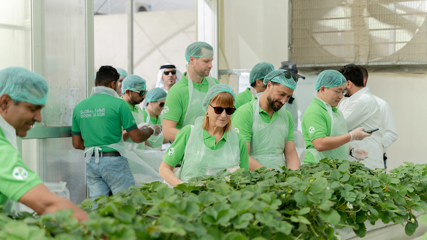 FoodTech Challenge guests taking part in a sustainable agriculture site visit inside a working greenhouse environment