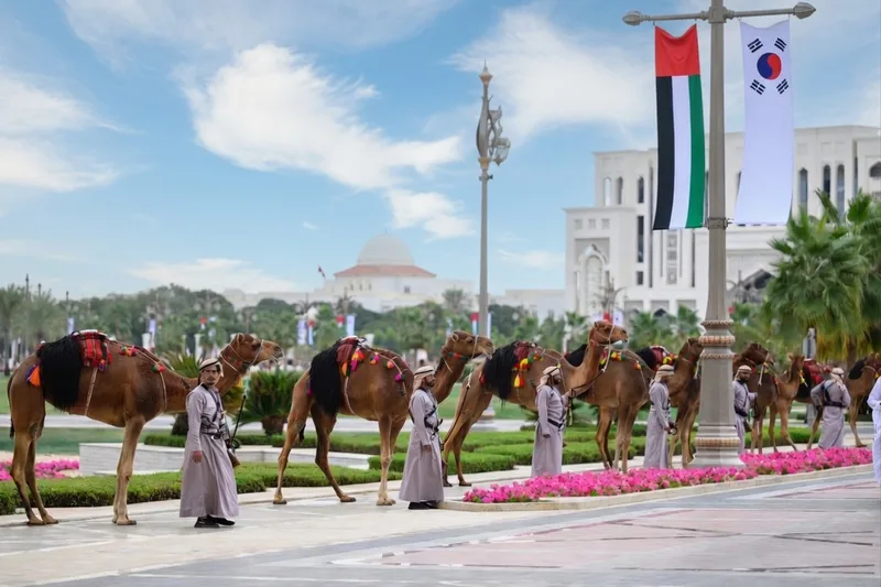 Traditional camel procession at an official UAE ceremony with national flags and landscaped event setting