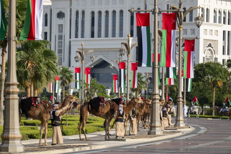 Ceremonial camel procession along the official state visit route in Abu Dhabi with UAE flags and protocol staging