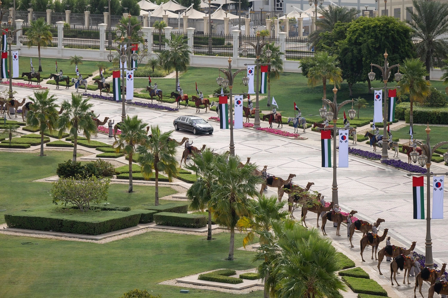 Republic of Korea state visit motorcade route in Abu Dhabi with camel procession, UAE and Korean flags and ceremonial performers
