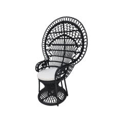 Peacock Chair - Black ​​ ​F-AC204-BL